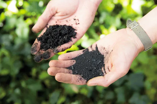 How Does Biochar Help Reduce Farming Costs? A Detailed Analysis